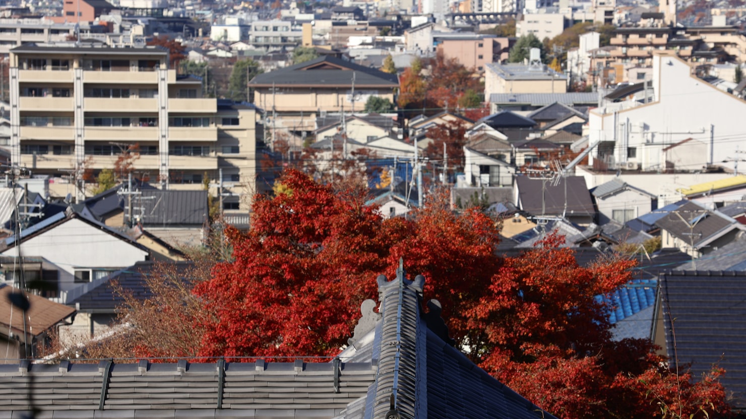 エンジニアのひとり運用経験を実績に変える書き方のイメージ写真