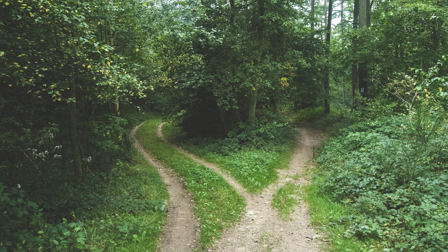 申込の取り下げで求人の戻し方が変わる理由を解説しますのイメージ写真