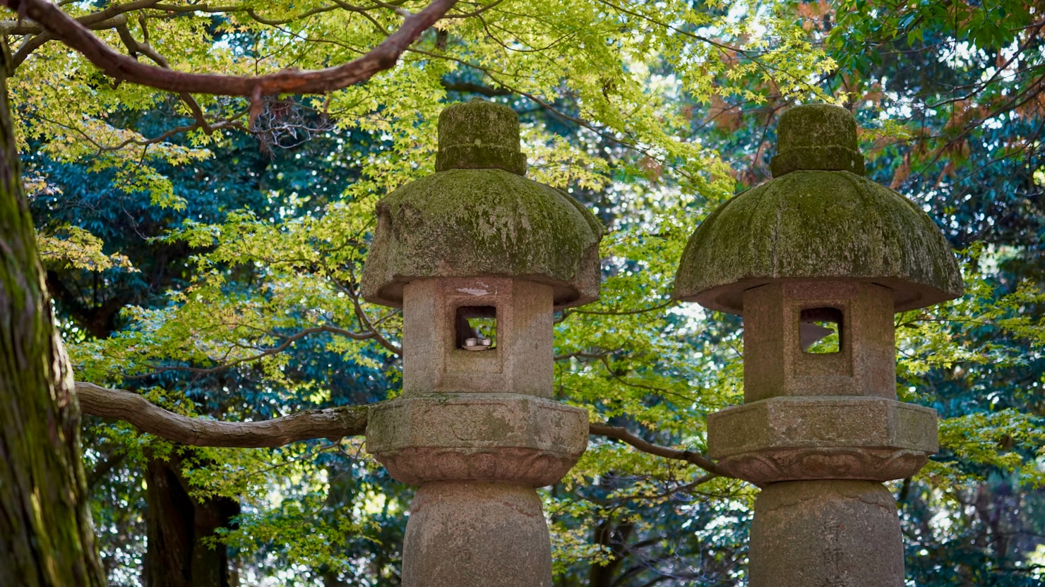 排他制御の経験は求人票の3つの言葉で書かれていますのイメージ写真