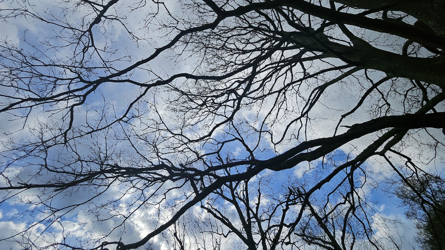 同時に編集された求人｜あとから保存した側が残るのイメージ写真