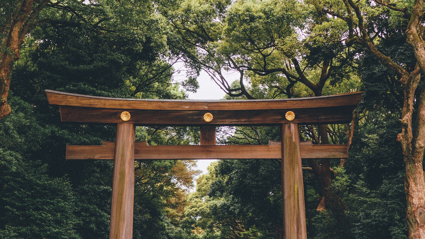 キャリア相談｜正社員求人の前に用意する4つの資料のイメージ写真