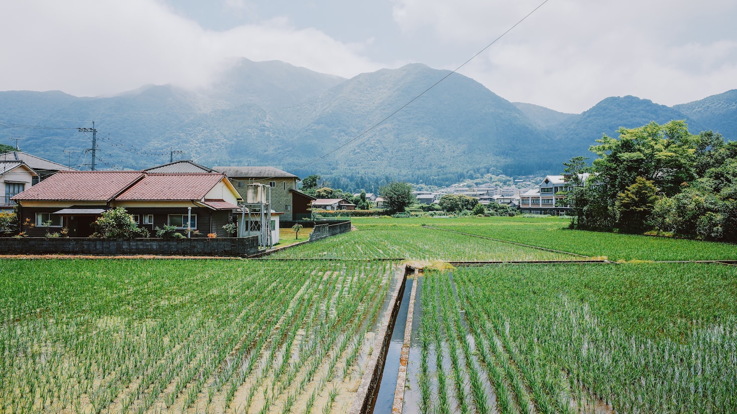 地方移住支援金｜長野で正社員として働く要件と流れのイメージ写真
