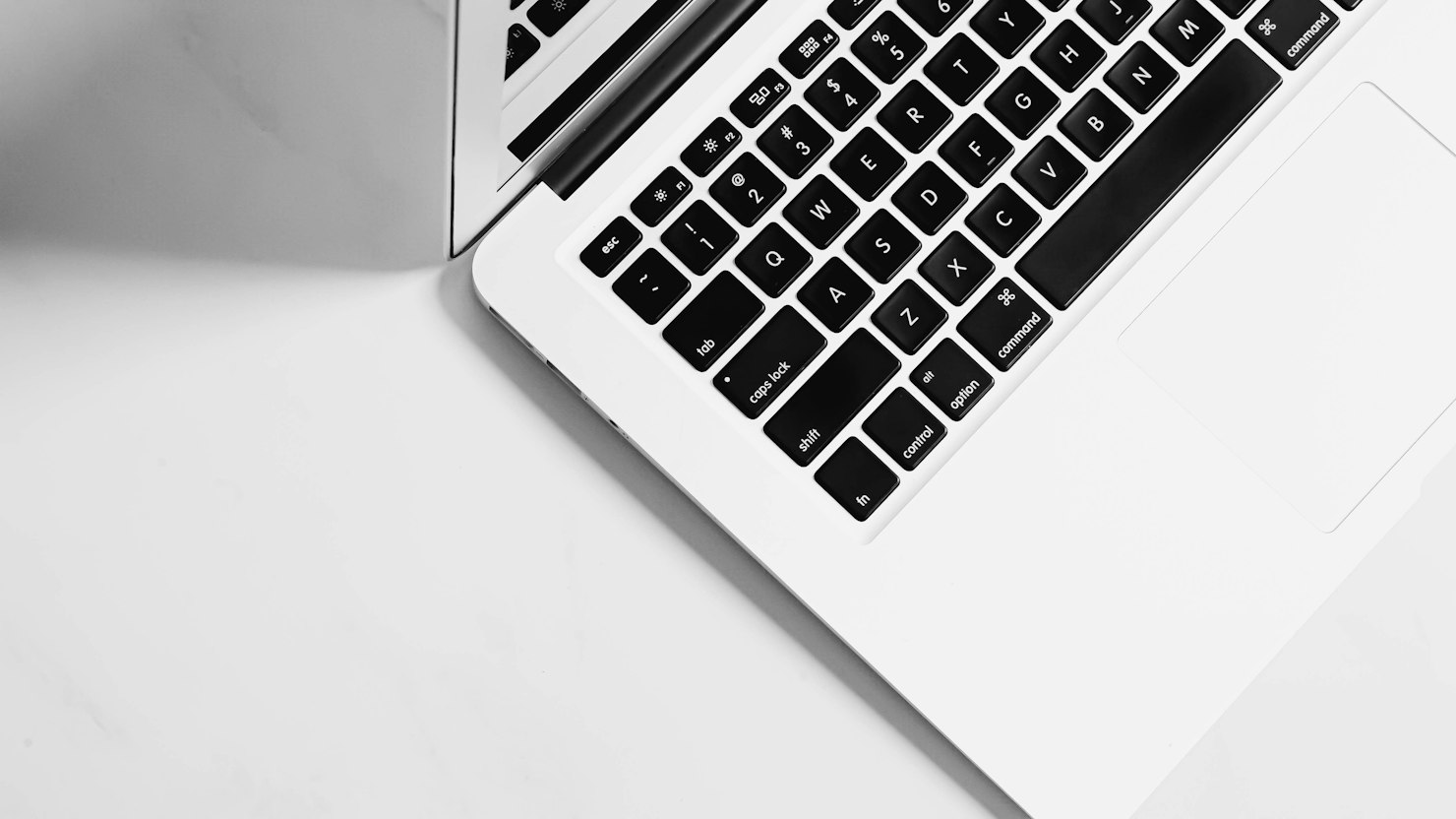 C#の将来性は？世界の職業開発者の29.9%が利用のイメージ写真