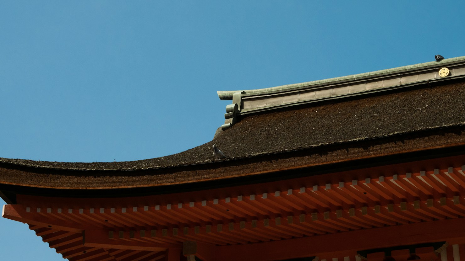 契約社員の入社手続き|正社員と違う書類と保険のイメージ写真