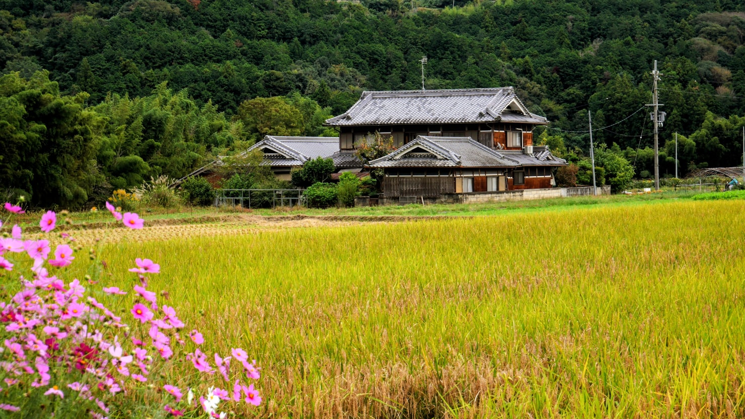 地方移住支援金とは？対象自治体と働き方の要件を確認するのイメージ写真