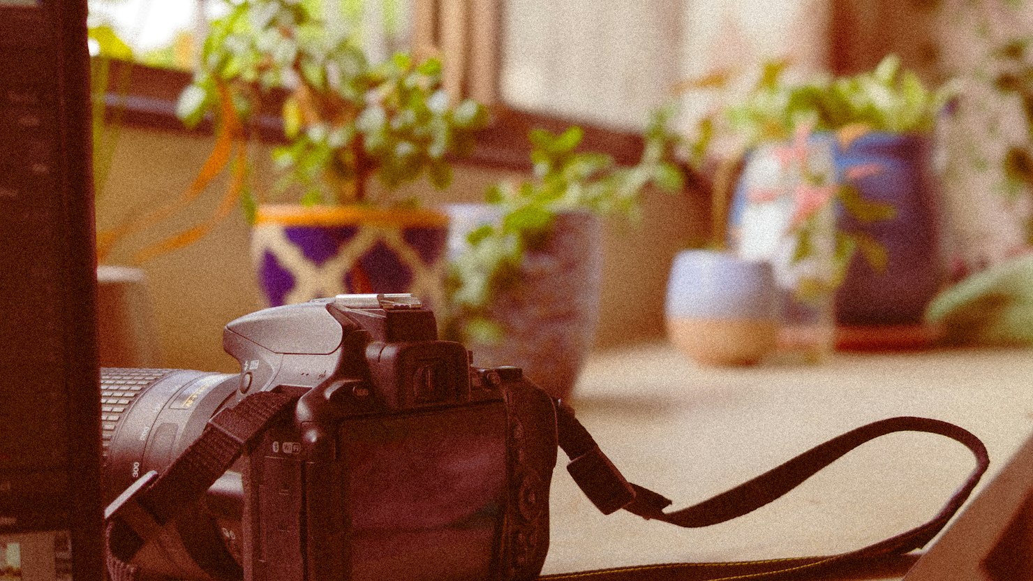 履歴書の写真データはどう作る?大きさと貼り付け方のイメージ写真