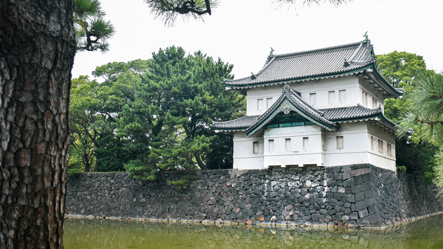 退職証明書に角印と丸印のどちらが押される？印が無い証明書のイメージ写真